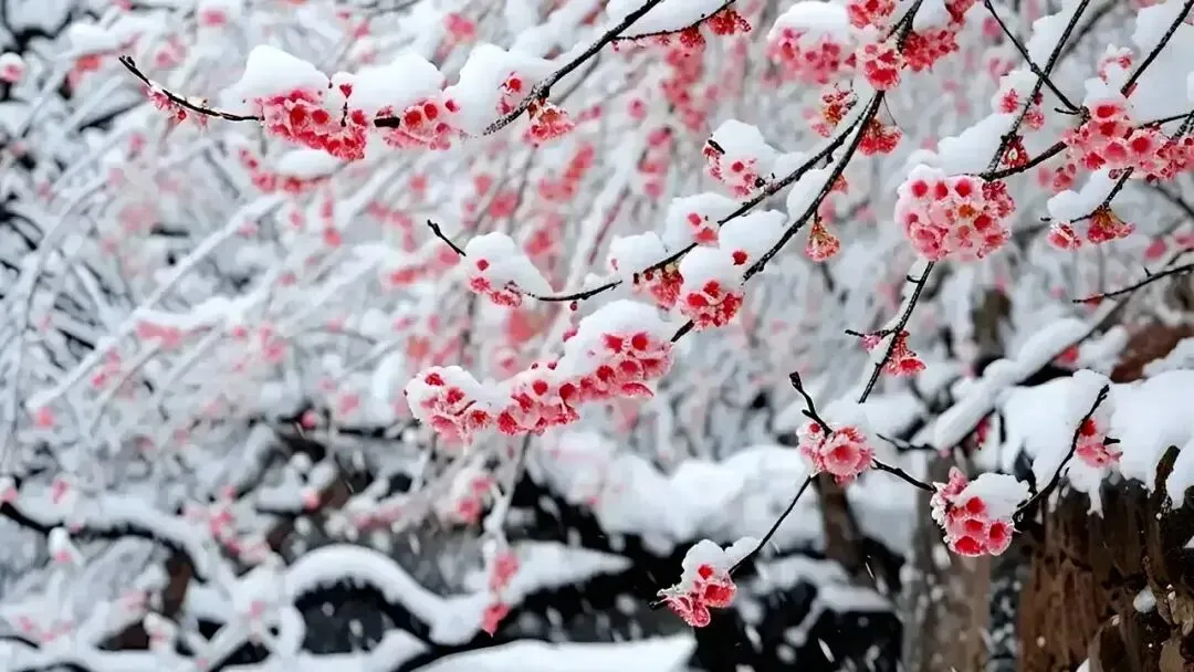 中考高分作文突破 | 《你的美,照亮我的心》 第14张