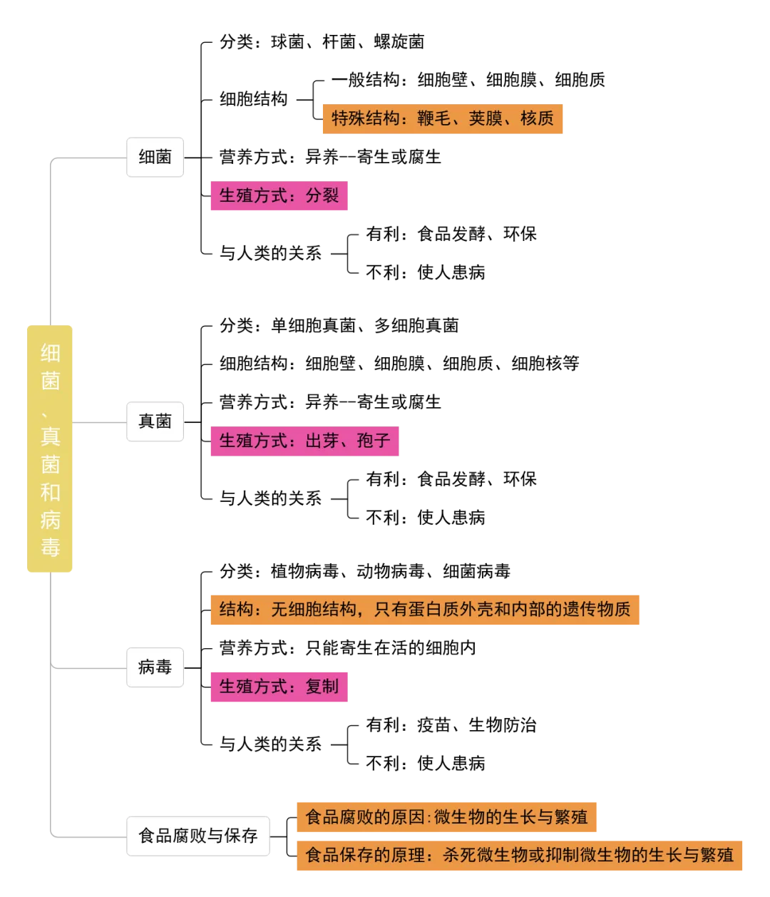 【26年中考生物知识点清单清单05 细菌、真菌和病毒(解析版) 第6张