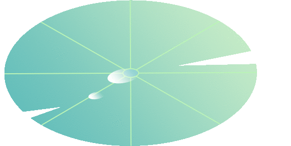 中考专项地理 《专题01 地球和地图》知识梳理+专项复习.pdf 第1张