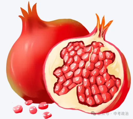 2026年中考道法时政热点专练36:用生命践行为民情怀的贺娇龙 第11张