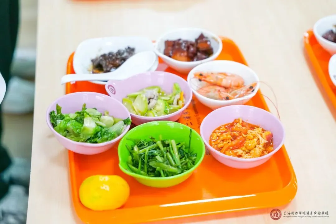 浦东民办顶流!中考成绩一年不如一年? 第14张 浦东民办顶流!中考成绩一年不如一年? 第14张