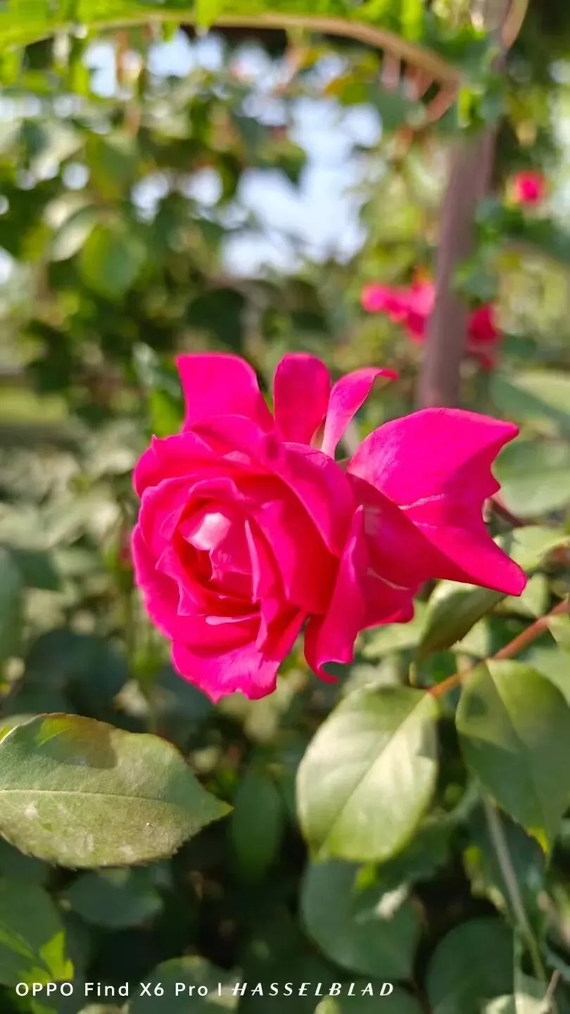 家校同心,共赴中考之约! 第14张