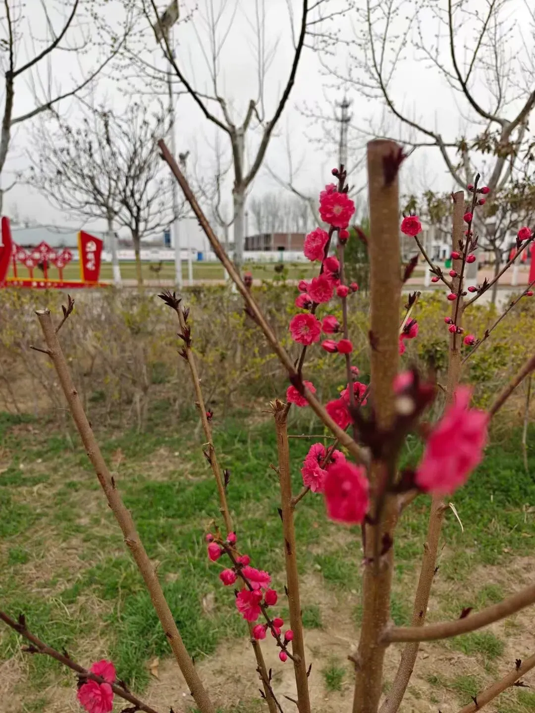 家校同心,共赴中考之约! 第22张