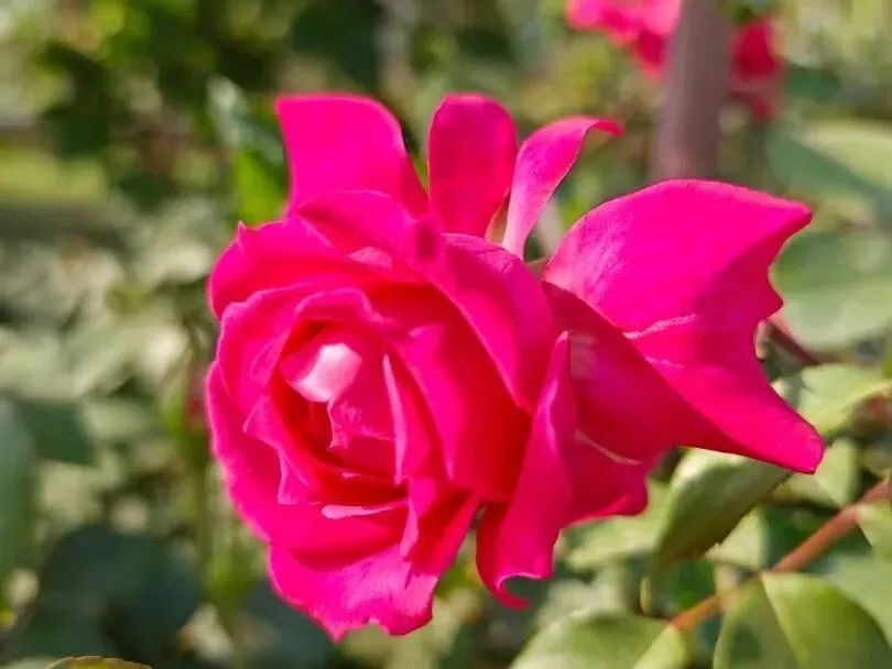 家校同心,共赴中考之约! 第26张