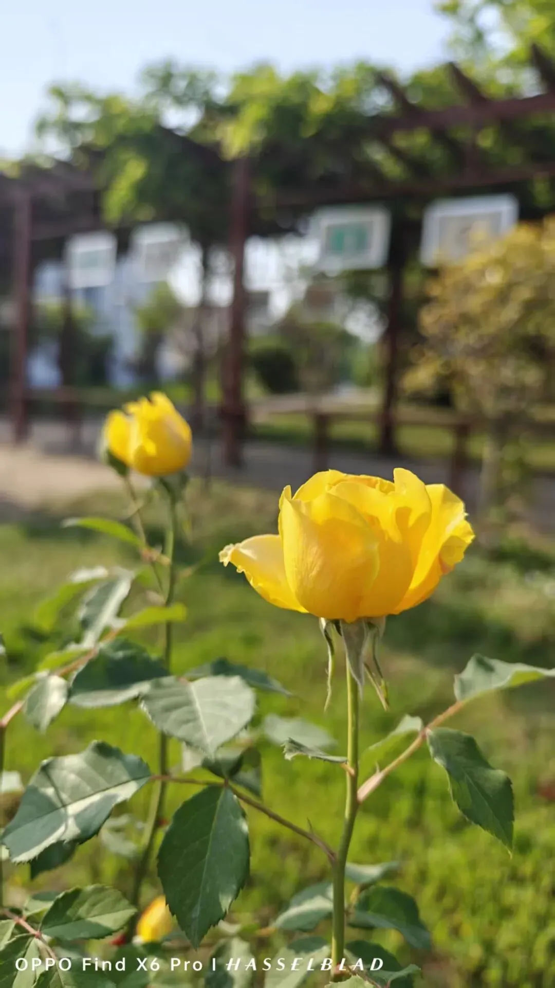 家校同心,共赴中考之约! 第31张