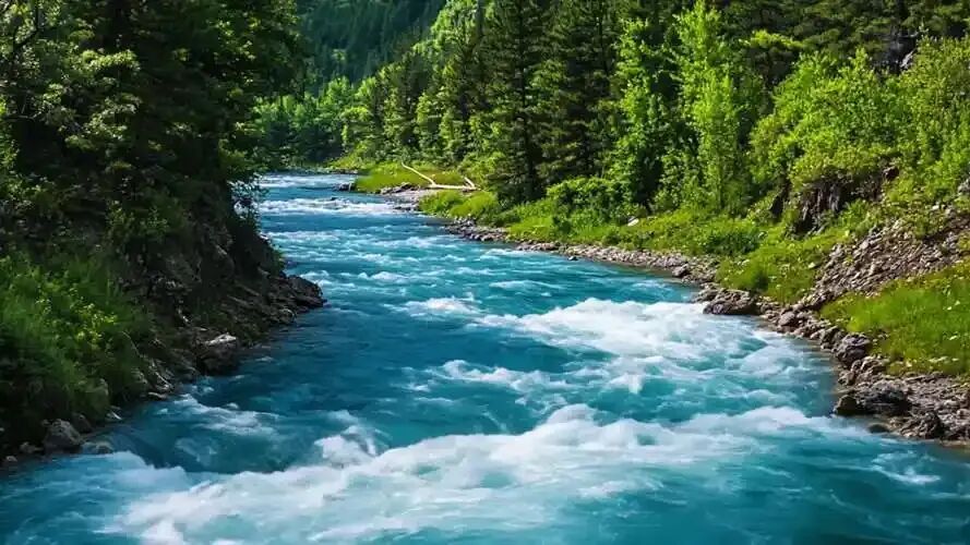 中考微写作任务题设计(十五) 第2张