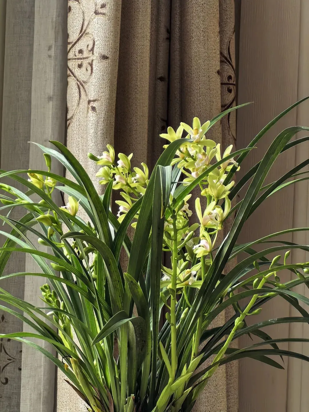 【中考语文复习】2026年奉贤区语文一模考试卷 第4张 【中考语文复习】2026年奉贤区语文一模考试卷 第4张