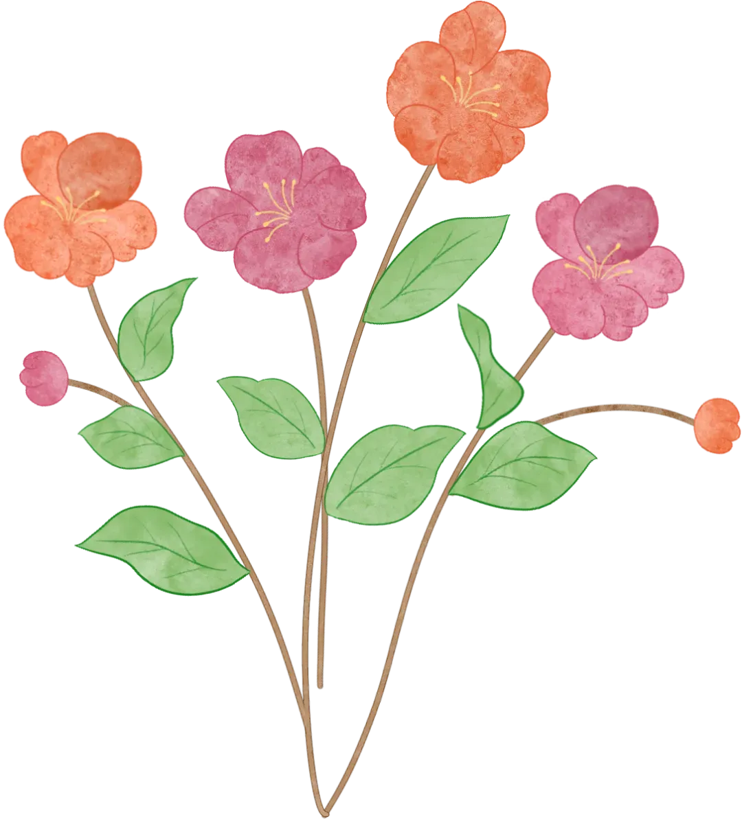 搞好2026中考备考,从寒假开始 第17张