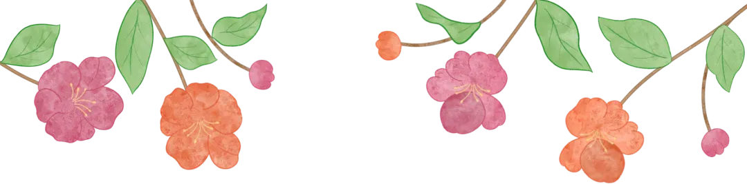 搞好2026中考备考,从寒假开始 第19张