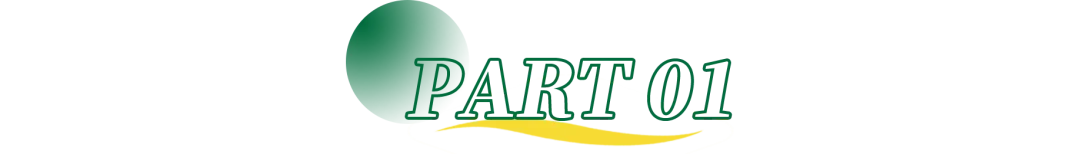 上海「新中考」即将落地,到底吹了哪些风? 第3张