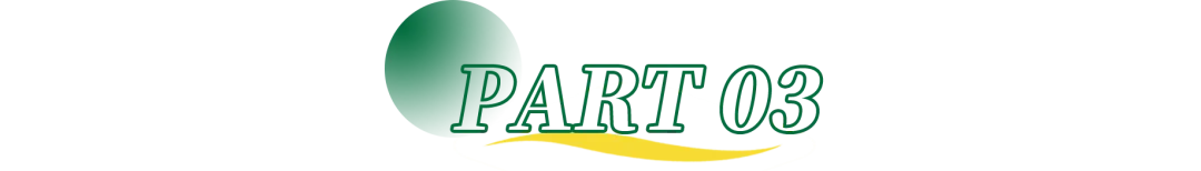 上海「新中考」即将落地,到底吹了哪些风? 第15张