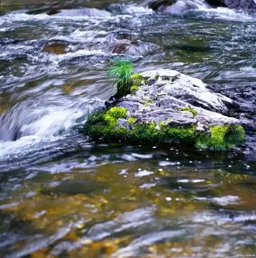 中考微写作任务题设计(十六) 第2张 中考微写作任务题设计(十六) 第2张