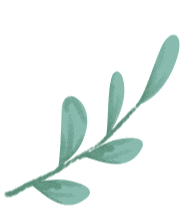 7.14中考押题作文《在风雨的洗礼中遇见成长》范文欣赏十四 第7张 7.14中考押题作文《在风雨的洗礼中遇见成长》范文欣赏十四 第7张