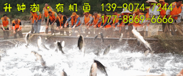 南部县中考监考费拖欠两年,何时发放? 第1张