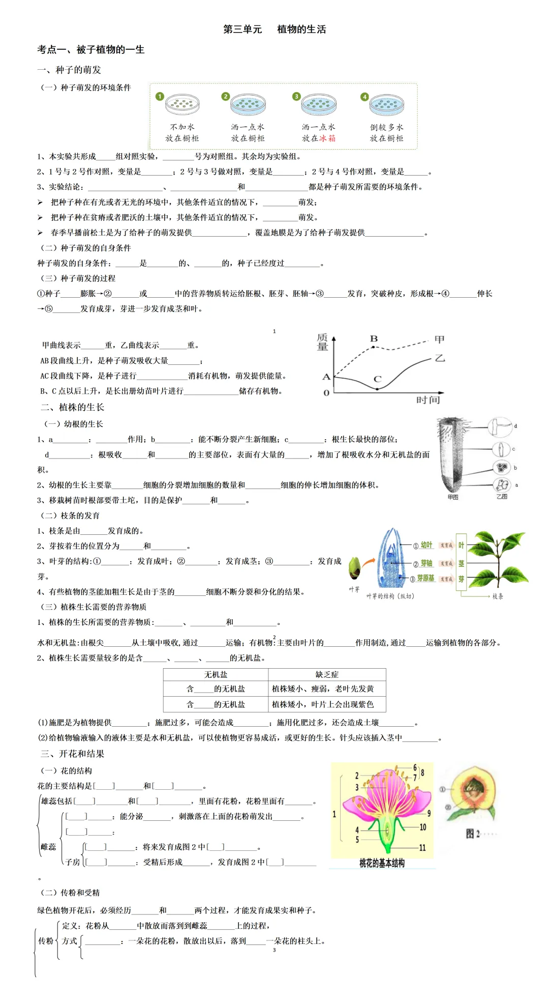 26中考人教版生物全4册默写小纸条:教材浓缩版,还有超多常考实例,非常实用哦~ 第4张