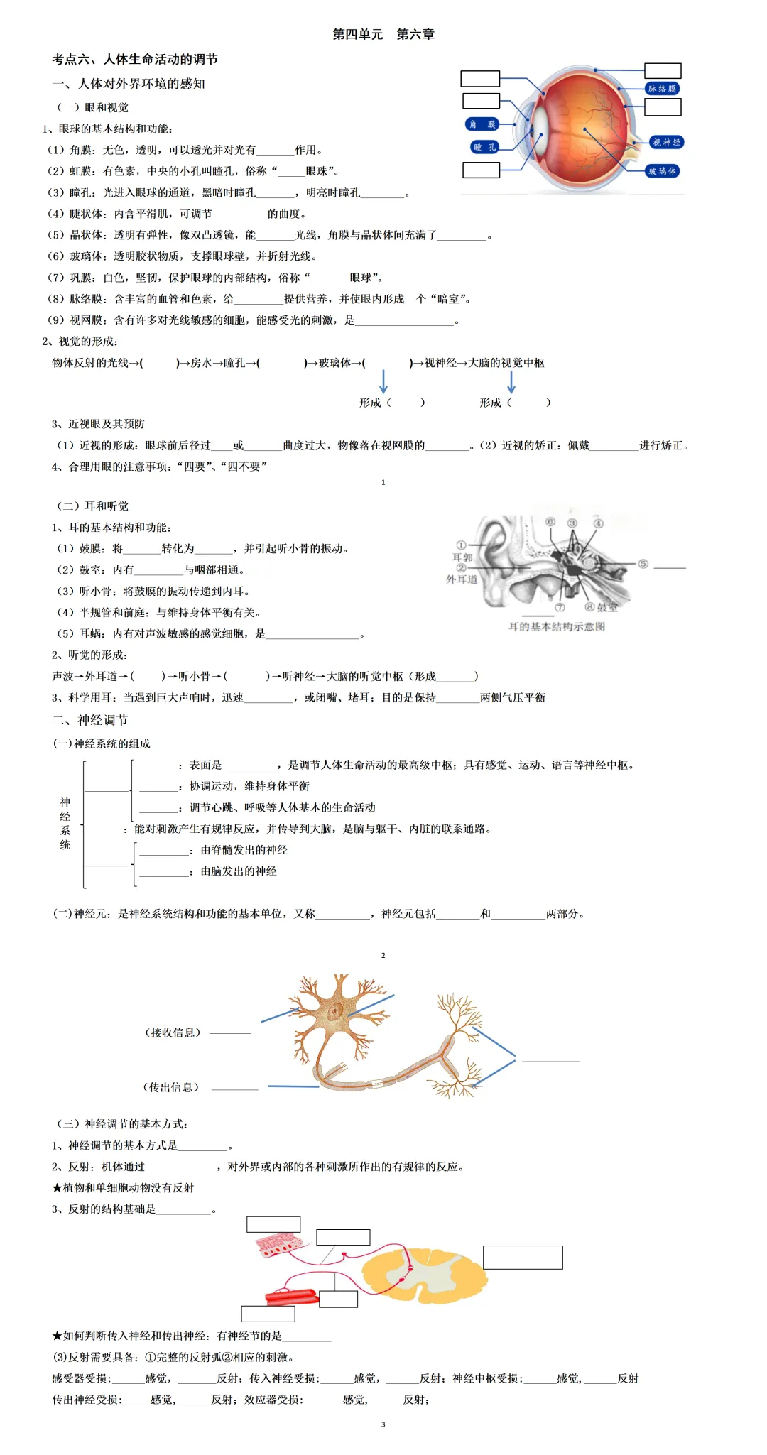26中考人教版生物全4册默写小纸条:教材浓缩版,还有超多常考实例,非常实用哦~ 第5张