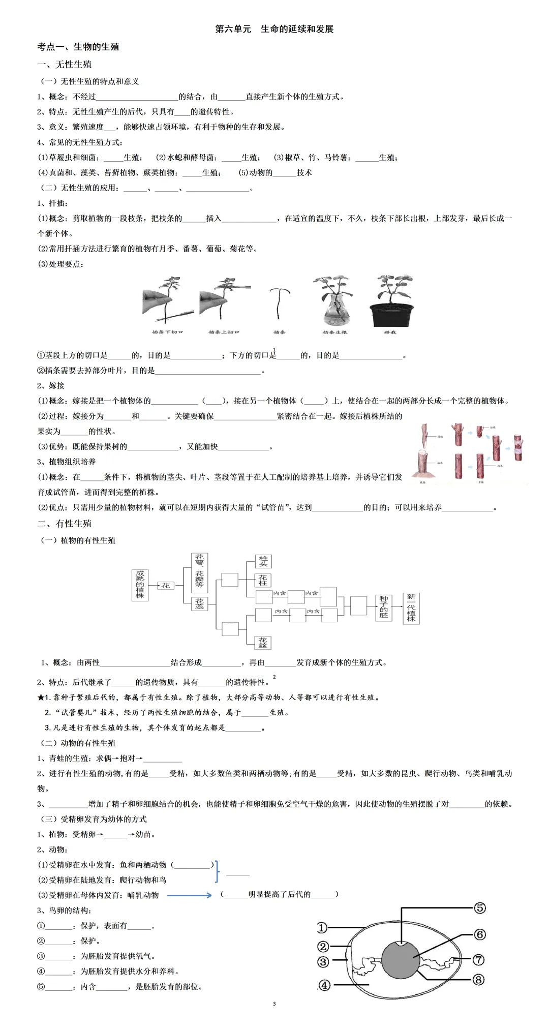 26中考人教版生物全4册默写小纸条:教材浓缩版,还有超多常考实例,非常实用哦~ 第6张