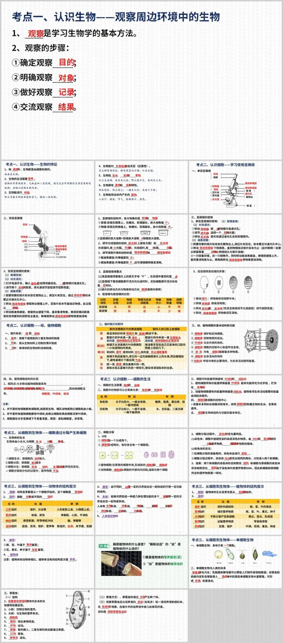 26中考人教版生物全4册默写小纸条:教材浓缩版,还有超多常考实例,非常实用哦~ 第7张