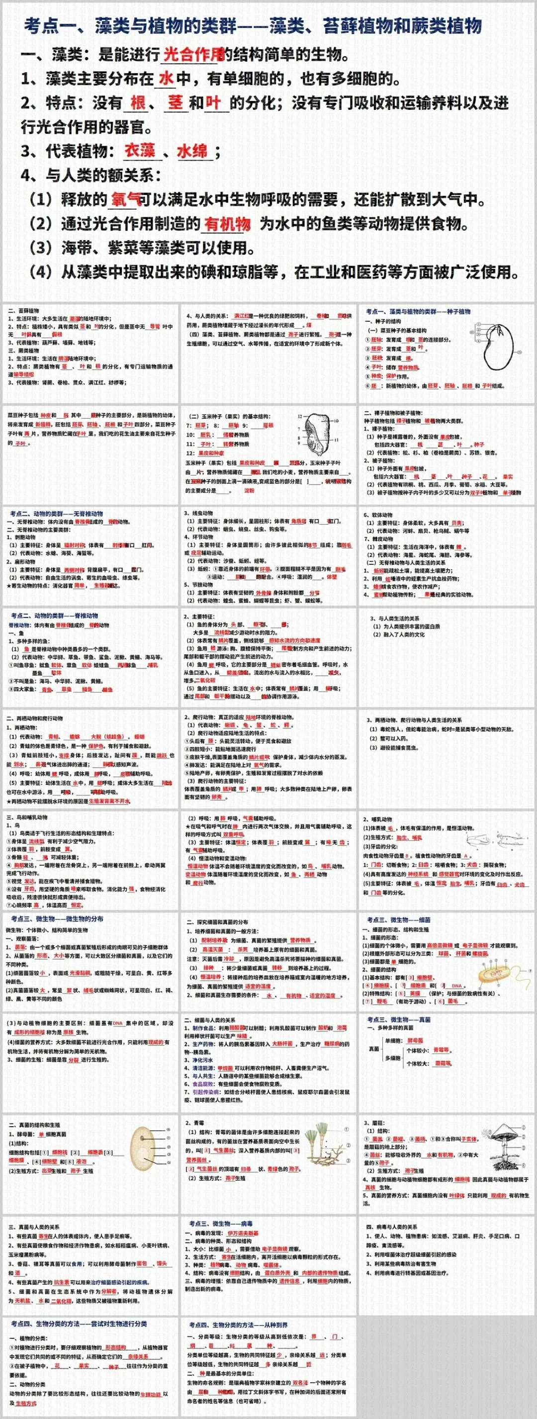 26中考人教版生物全4册默写小纸条:教材浓缩版,还有超多常考实例,非常实用哦~ 第8张