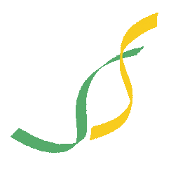 寒假冲刺,长跑提分正当时——体育中考长跑提分全攻略! 第9张