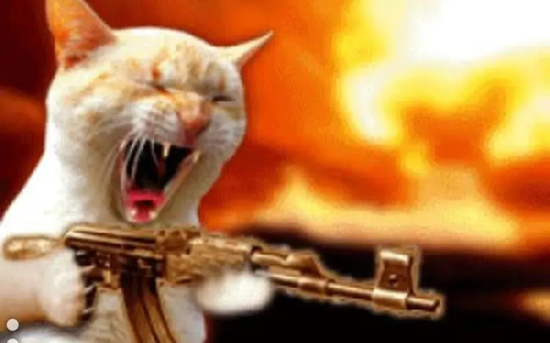 一模成绩烂,关中考什么事 第6张