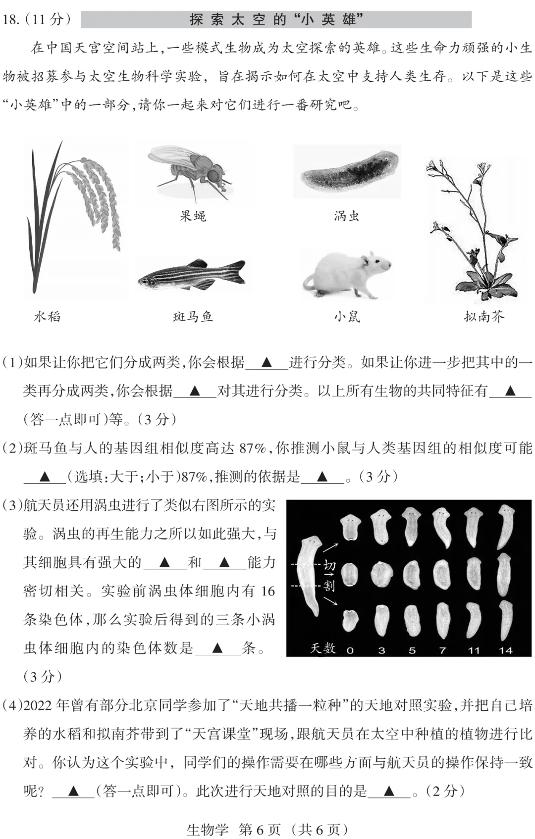 山西省 2025 中考 金标压轴【生物】试卷+答案 第6张