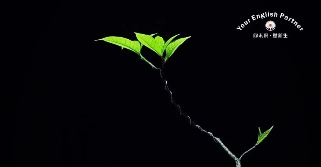 中考英语寒假五阶闯关练 第1张 中考英语寒假五阶闯关练 第1张