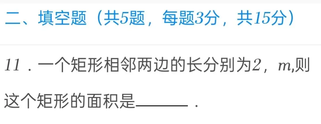 2025年湖北省中考数学试卷 第11张
