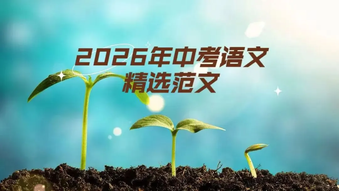 【中考语文】精选范文:这一次我是主角 第1张