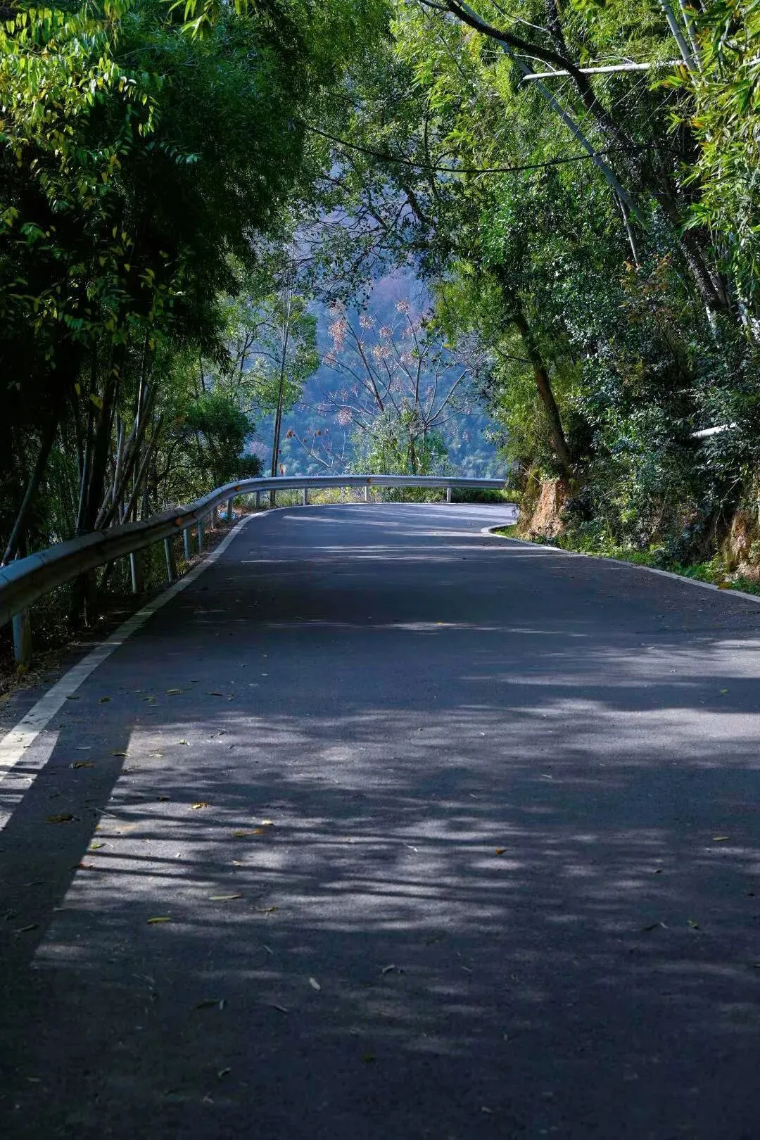 难忘中考——2005年夏去灵台考试(二) 第1张