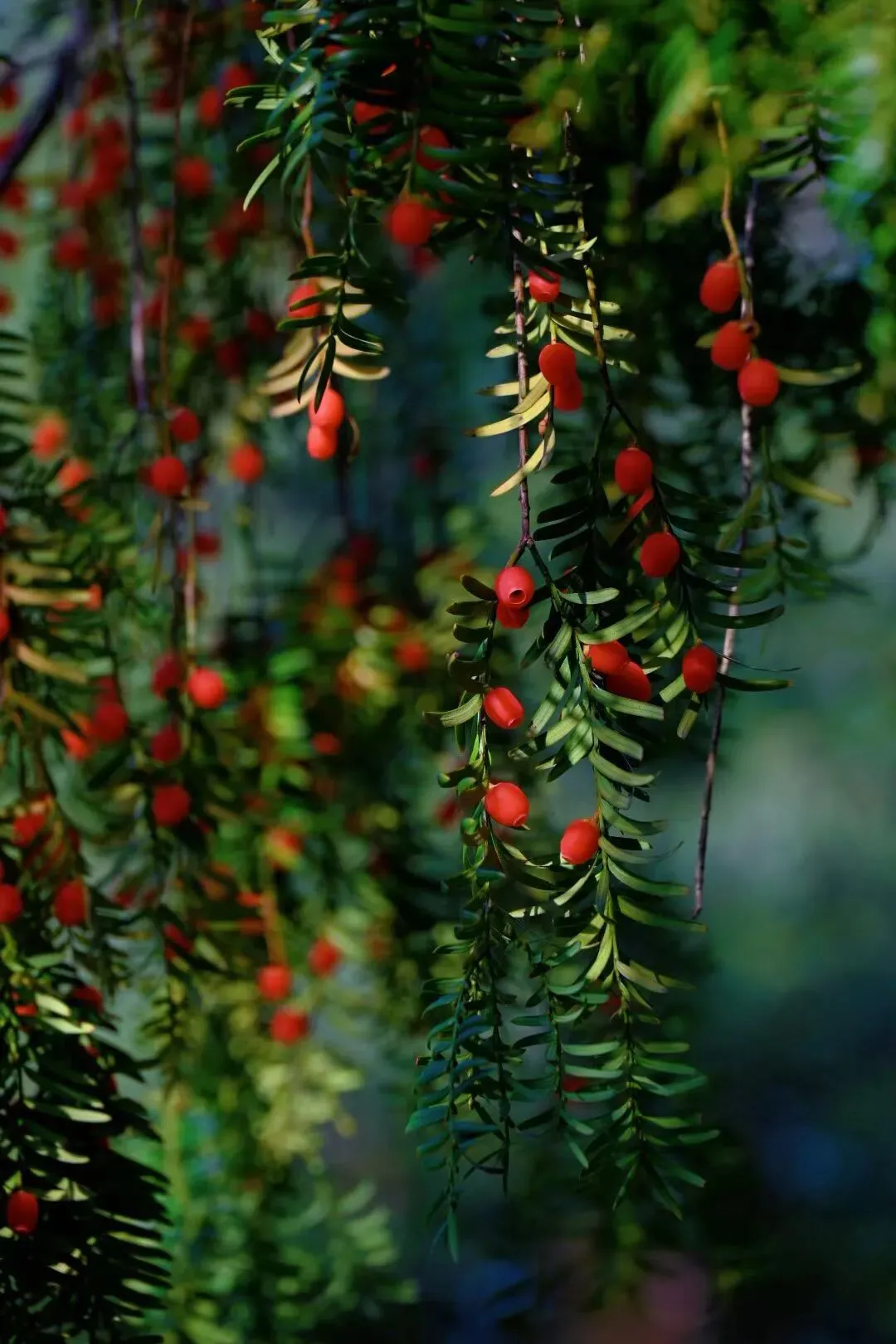 难忘中考——2005年夏去灵台考试(一) 第1张