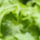 于烨老师2026中考作文仿真训练十二讲: 用三道预测题练透所有考点之第六讲 第11张