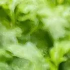 于烨老师2026中考作文仿真训练十二讲: 用三道预测题练透所有考点之第六讲 第12张