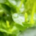 于烨老师2026中考作文仿真训练十二讲: 用三道预测题练透所有考点之第六讲 第14张