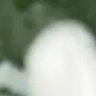 于烨老师2026中考作文仿真训练十二讲: 用三道预测题练透所有考点之第六讲 第22张