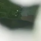 于烨老师2026中考作文仿真训练十二讲: 用三道预测题练透所有考点之第六讲 第28张