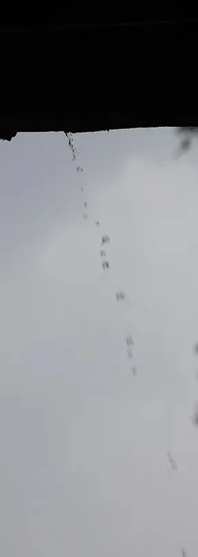 于烨老师2026中考作文仿真训练十二讲: 用三道预测题练透所有考点之第六讲 第42张