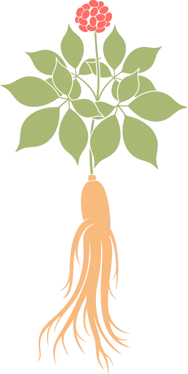 于烨老师2026中考作文仿真训练十二讲: 用三道预测题练透所有考点之第六讲 第46张