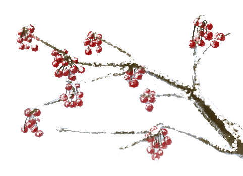 初中中考课外文言文阅读及翻译必考点答题技巧(含译文+含拼音+含答案)重点一词多义重点文言虚词实词 第1张