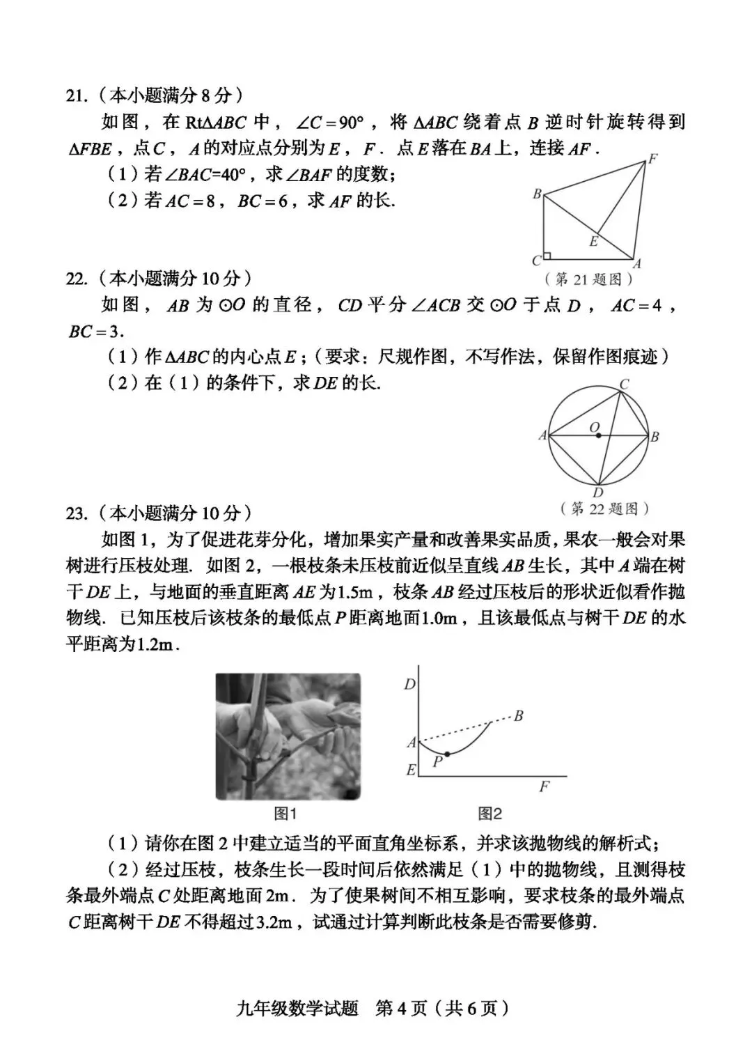 【中考一检·数学】龙岩市2025-2026学年九年级上学期期末考试数学试卷及答案 第4张 【中考一检·数学】龙岩市2025-2026学年九年级上学期期末考试数学试卷及答案 第4张