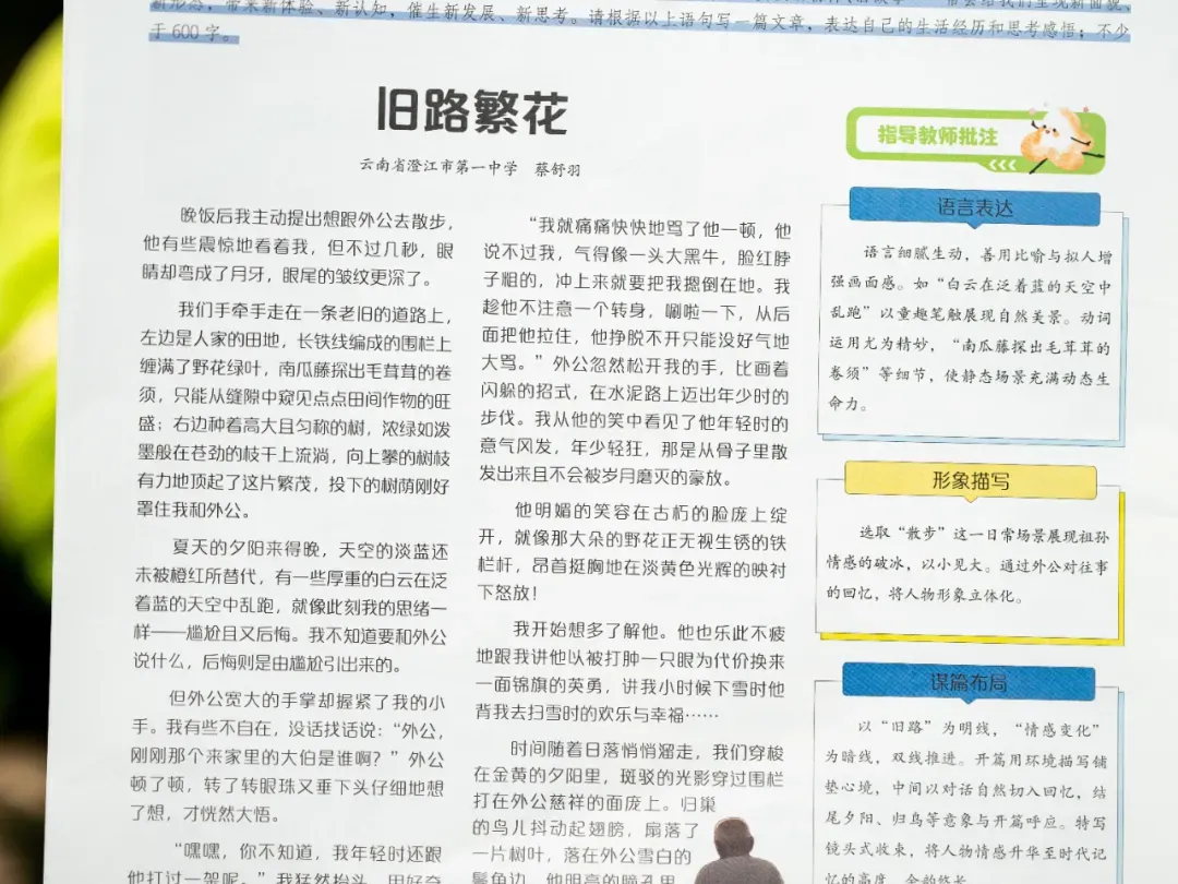 中考后才懂:语文的差距,从来不是刷题!90%家长都搞错了! 第15张 中考后才懂:语文的差距,从来不是刷题!90%家长都搞错了! 第15张