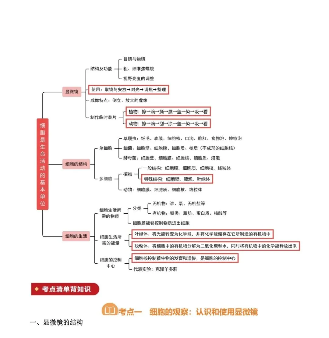 中考专项生物考点清单 01 细胞是生命活动的基本单位|知识 + 真题! 第2张