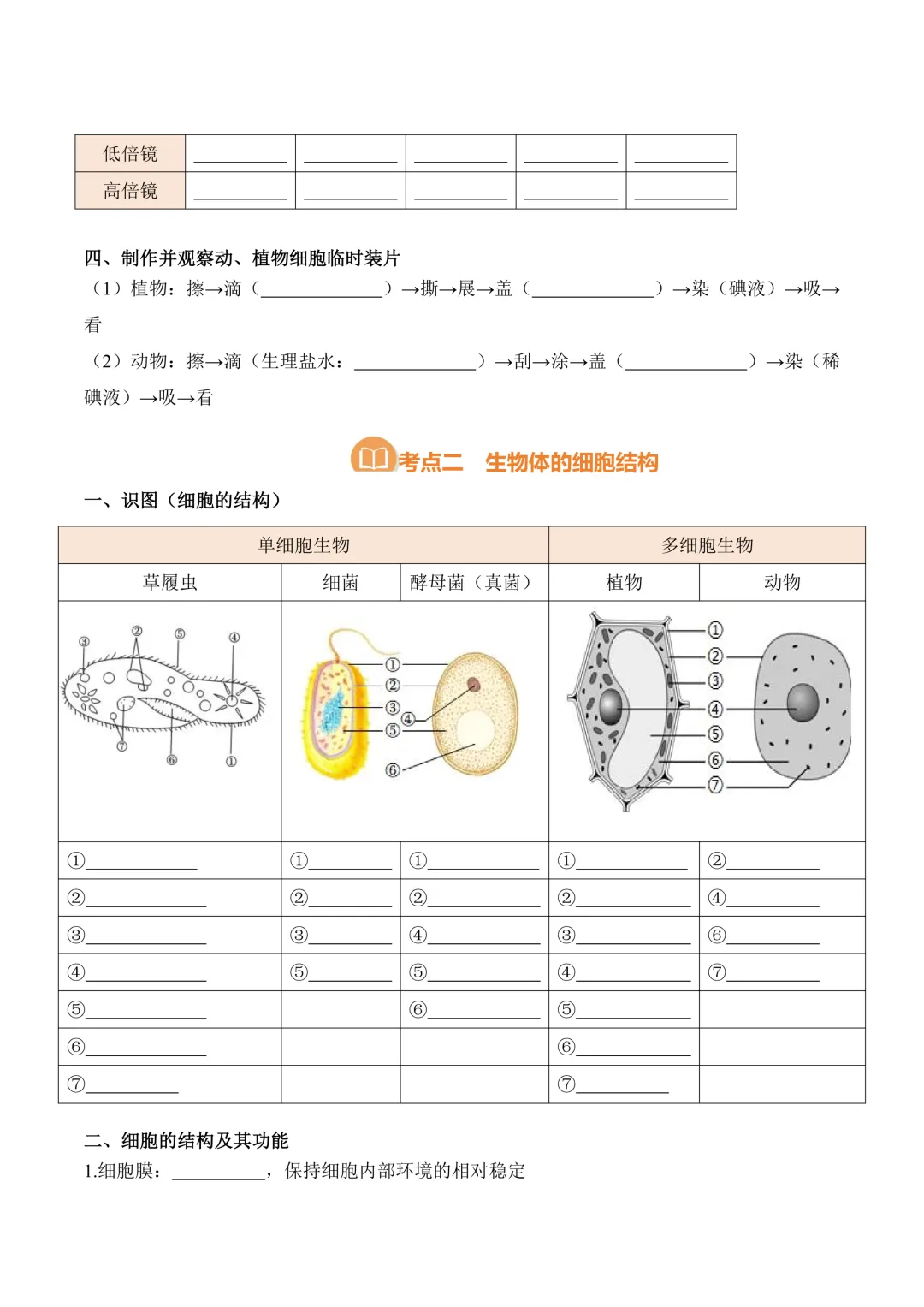 中考专项生物考点清单 01 细胞是生命活动的基本单位|知识 + 真题! 第4张