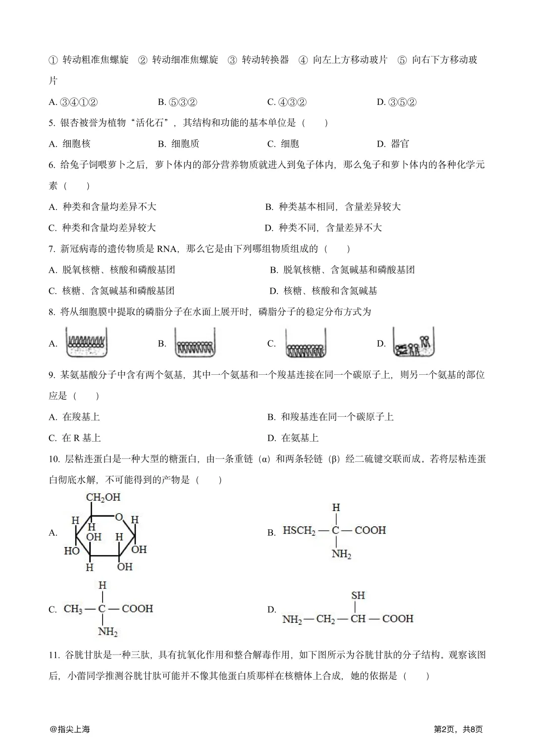 上海市行知中学2025学年上学期高一期中考·生物试卷 第4张