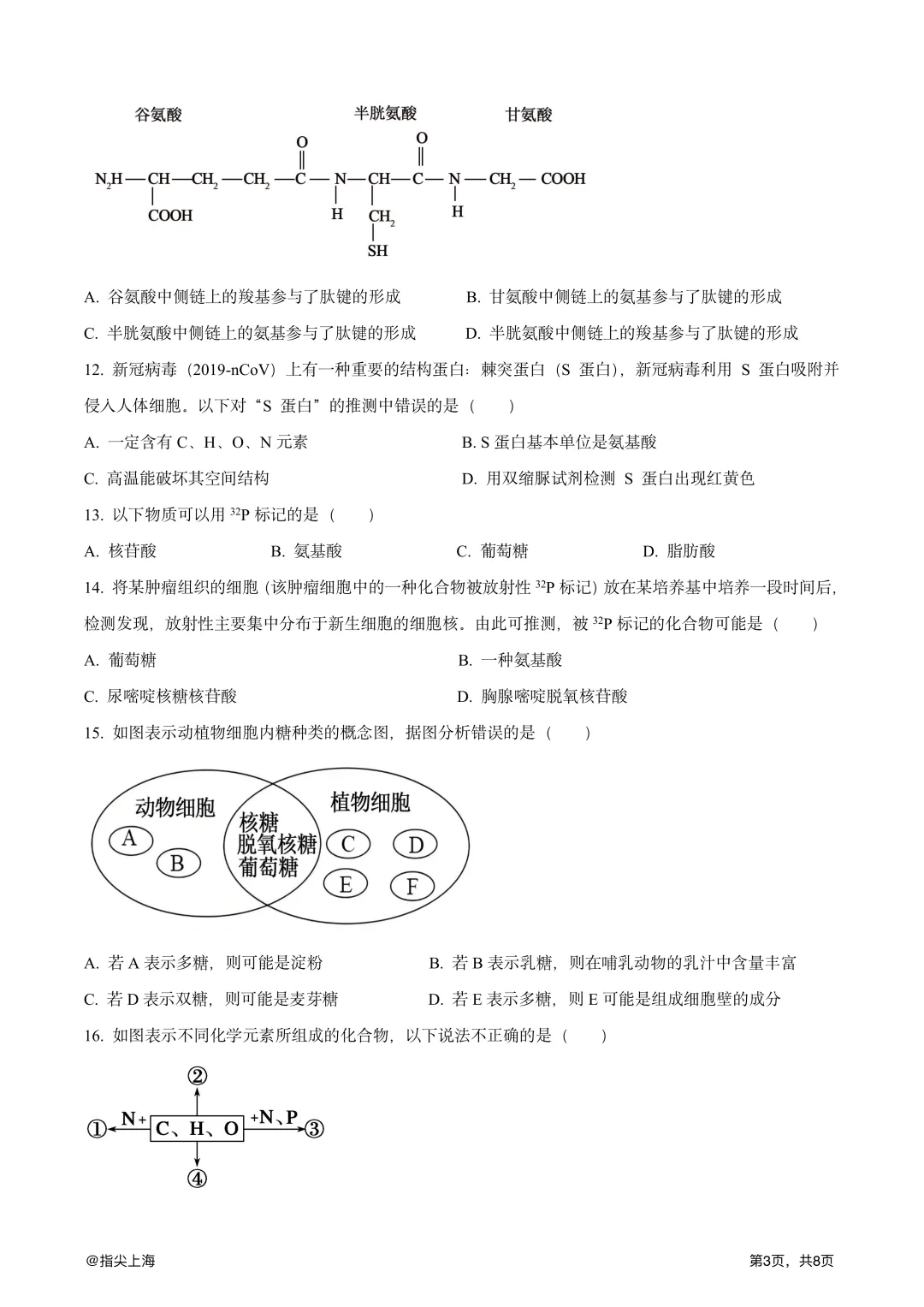 上海市行知中学2025学年上学期高一期中考·生物试卷 第5张