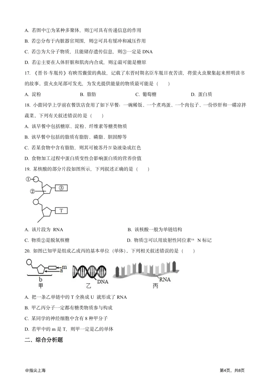 上海市行知中学2025学年上学期高一期中考·生物试卷 第6张