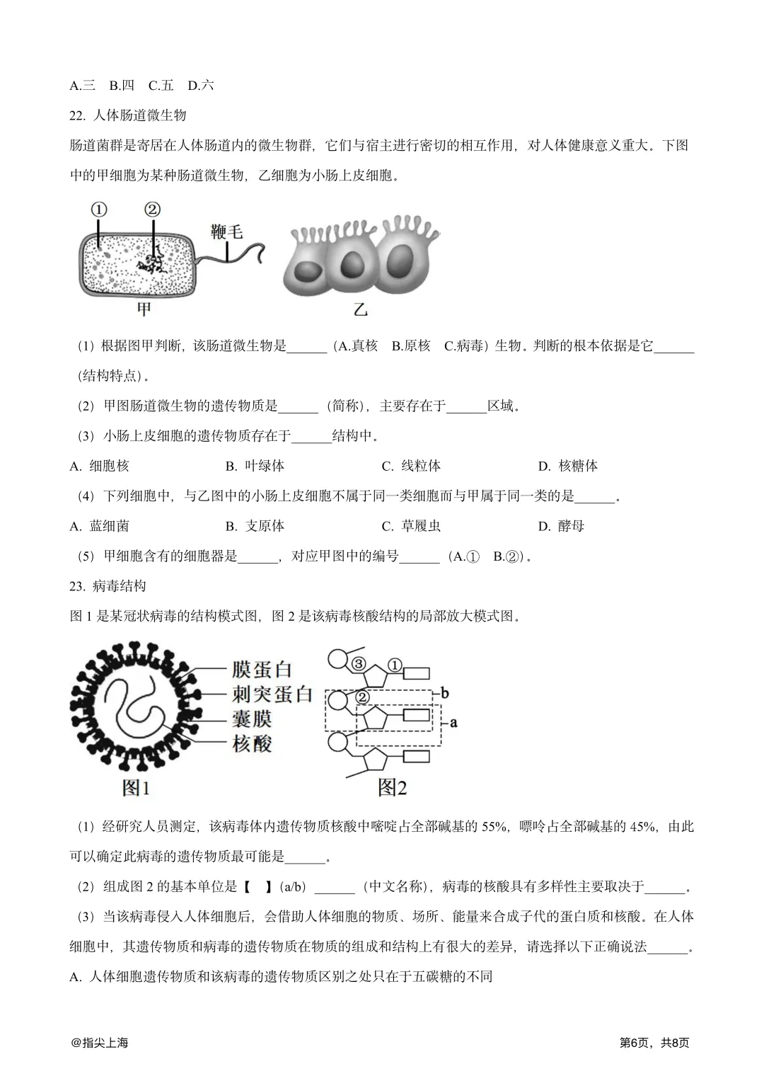 上海市行知中学2025学年上学期高一期中考·生物试卷 第8张