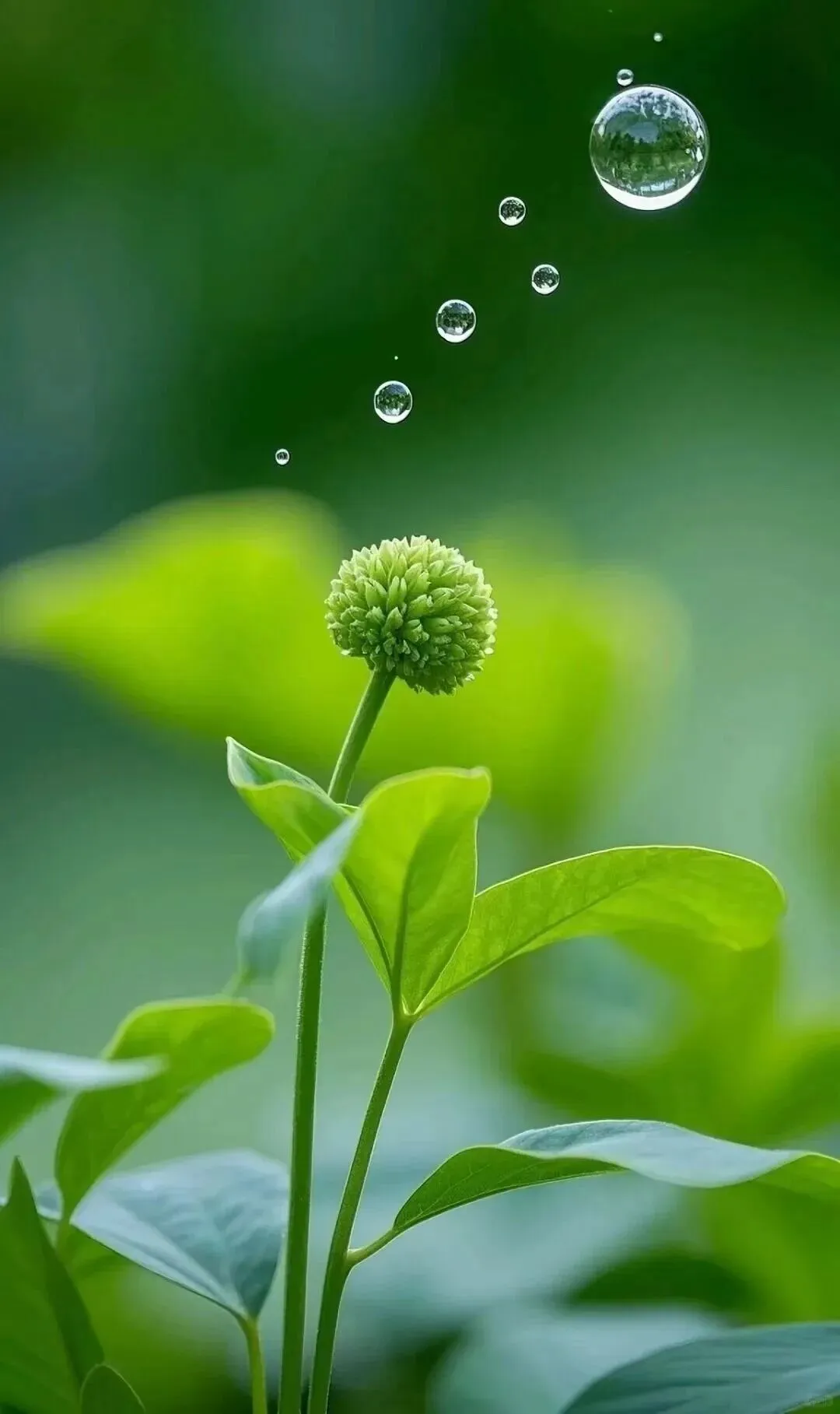 中考精品美文:走在路上(吴林青 初二) 第3张