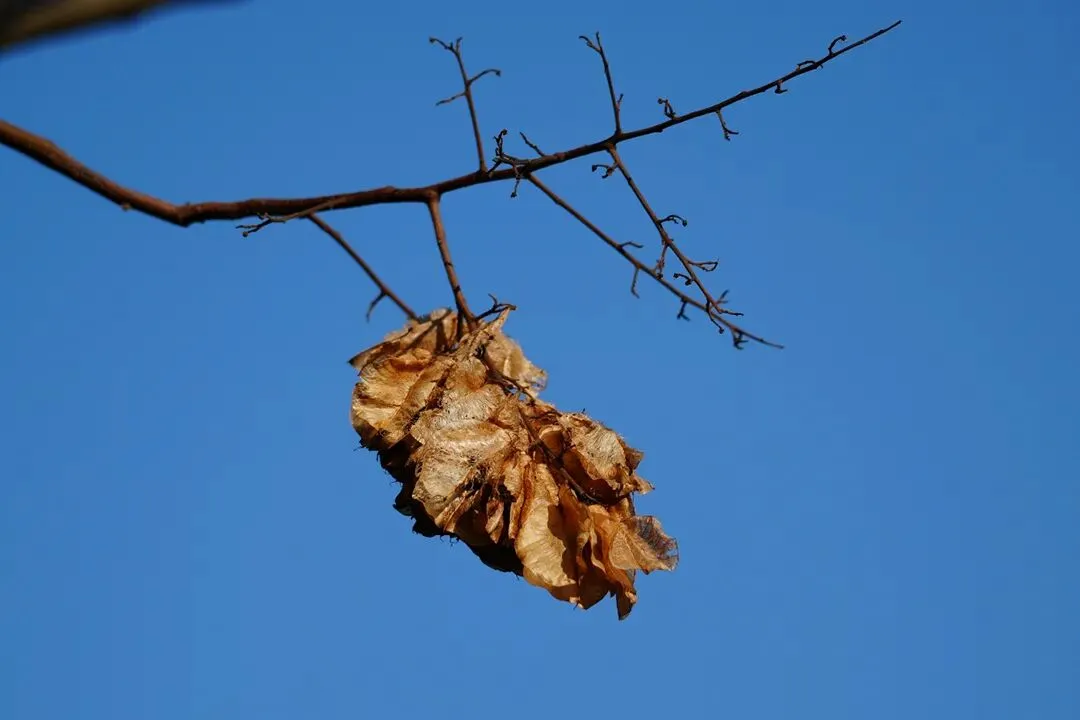 中考英语作文提分神器!3大文体+6大话题素材,直接套用稳拿高分 第2张