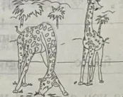 恩施州中考专项模拟【20260204/英语/1期】 第17张